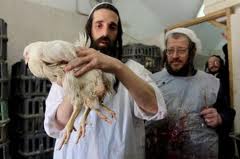 Η κότα της κρίσης, με 4 πόδια!!!