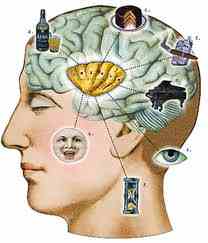 Εγκεφαλικά ανάπηροι!