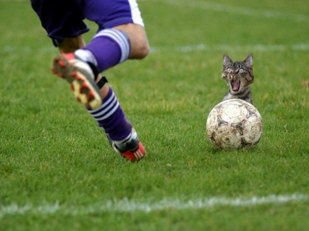 Πως βγήκε η φράση: 