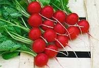 Ραπανάκια για την όρεξη!