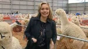 Ερωτικά παιχνίδια στον 