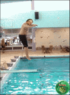 Κατά…δυση πολιτικού βαριδίου! (gif)