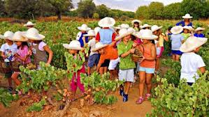 ΚΑΤΑΝΤΙΑ! ΤΟ MEGA έγινε τσοντοκάναλο!!! (φωτό)