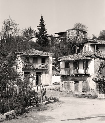 Πολιτιστικός Σύλλογος Πλατάνου 