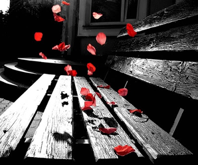 Ιρανός... πίθηκος-αστροναύτης!!! 