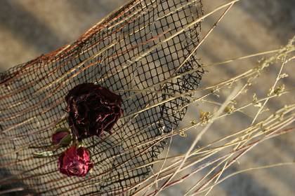 «Η σκούνα και τ' αερικά κυκλώνουν τη ζωή μας»