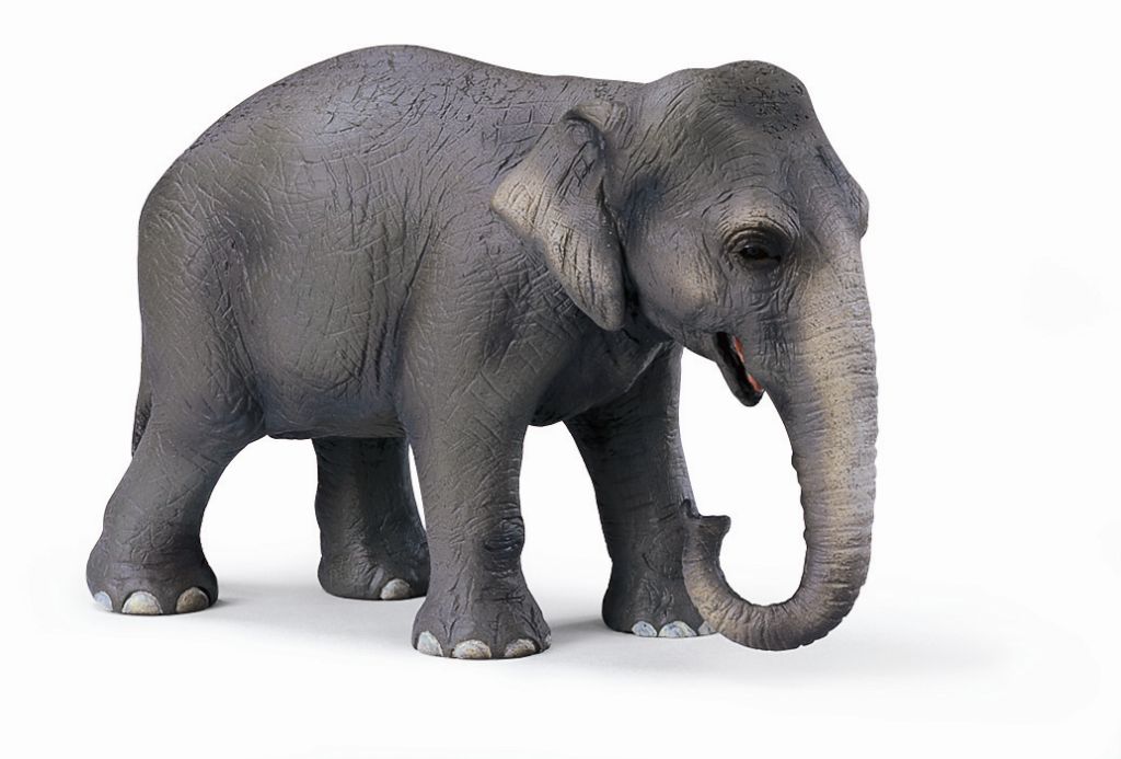 Πώς να αποκτήσω μνήμη...ελέφαντα;