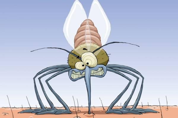 Πώς θα απαλλαγείτε από τα κουνούπια με φυσικό τρόπο!!!