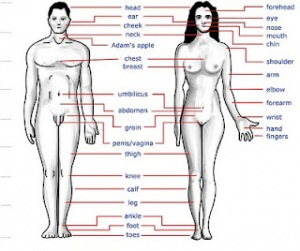 Τα παράξενα του ανθρωπίνου σώματος...