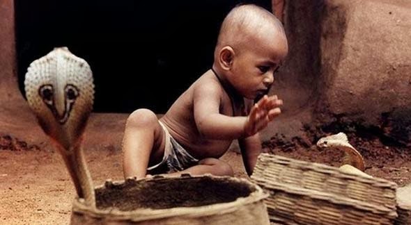 Ο Δίας και το φίδι που το πατούσαν