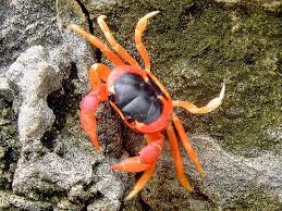 Πού παντρεύονται, πού γεννούν και πού χωρίζουν τα ζευγάρια στην Ελλάδα!!!