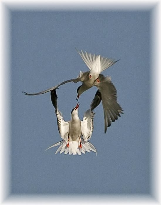 9 λόγοι για να βγεις από τη ζώνη ασφαλείας σου!!!