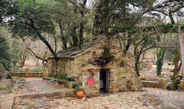 Το θαύμα με τα 17 πλατάνια στη στέγη του Ναού της Αγίας Θεοδώρας!!!