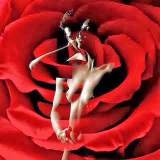 Στο κρεβάτι της ηδονής δεν υπάρχουν άγιοι και πουτάνες…