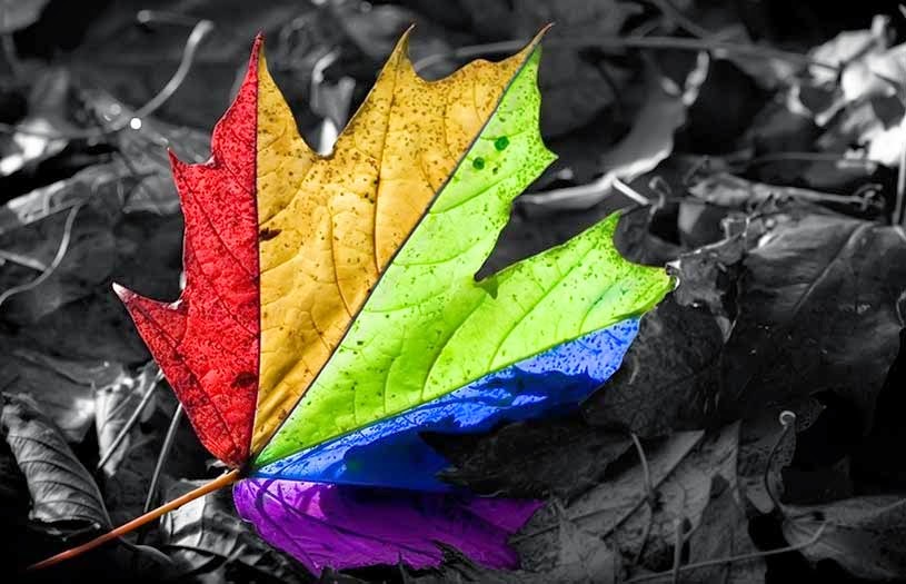 Η επίδραση των χρωμάτων στην ζωή μας…