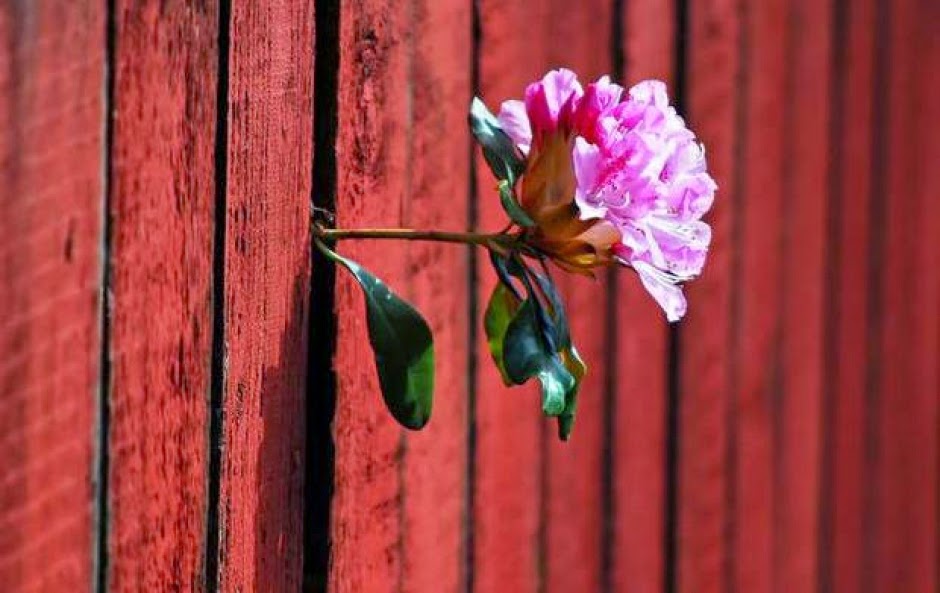 Το κλειδί είναι κάτω από το γεράνι…