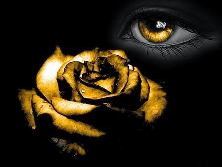 Μην του γυρίσεις την πλάτη!!! Ευαισθητοποιήσου…