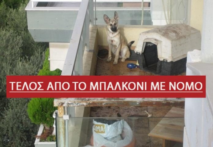 Οδηγίες για το πως κάνουμε καταγγελία σε όσους έχουν ζώα να ζουν μονίμως σε μπαλκόνια και ταράτσες…