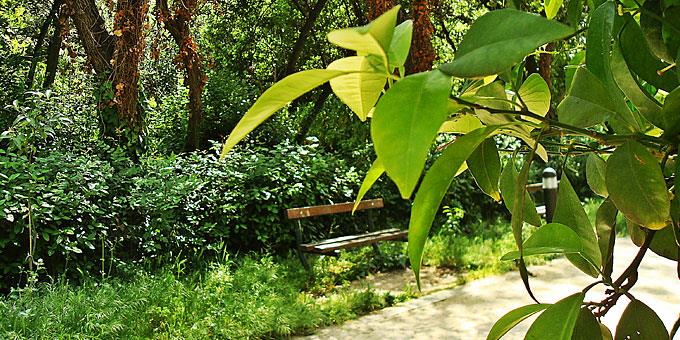 Φθινοπωρινή βόλτα... 