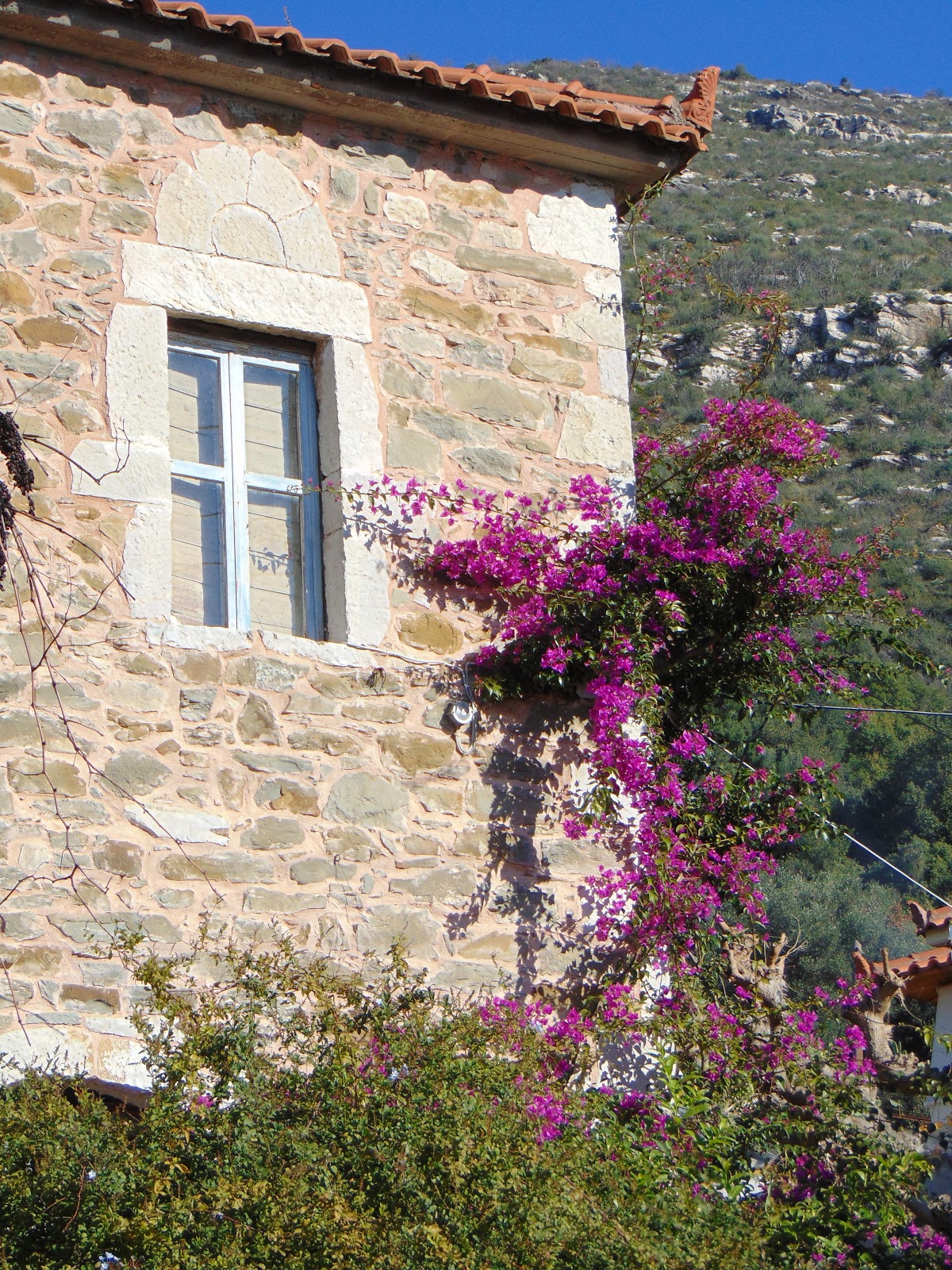 Οι κορδέλες της εκδίκησης… Μέρος 8
