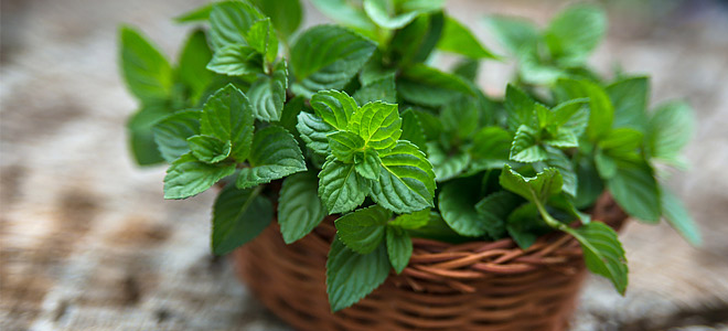 Στον καναπέ, με κερί και μέντα!!!