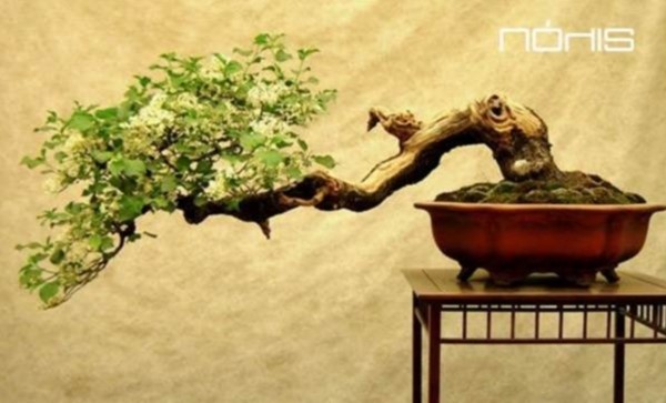 Νέος Σεμιναριακός Κύκλος Επιστήμη Εαυτού Συναισθηματική Νοημοσύνη - Αυτοβελτίωση