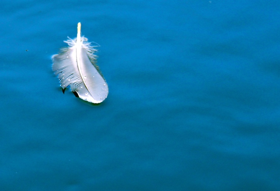 Angels Hands: Εθελοντές βοηθούν άτομα με αναπηρία να έχουν σεξουαλική ζωή