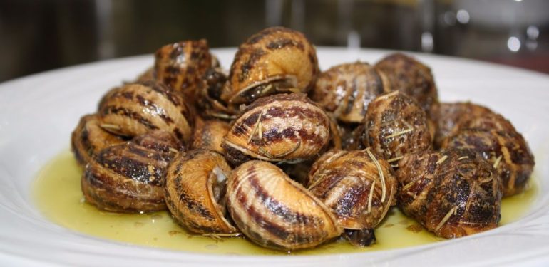 Ο σκύλος και ο κοχλιός