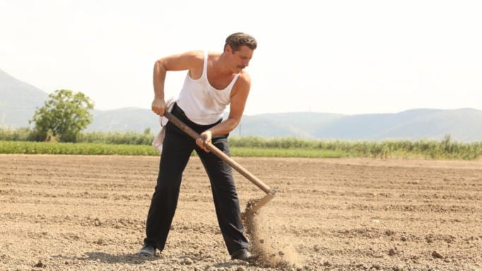 Το τέλος του Κυπραίου στις Άγριες Μέλισσες…