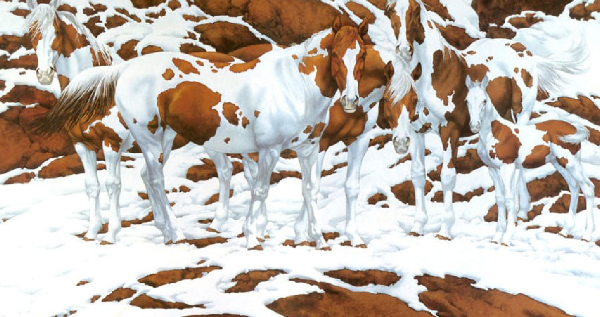 KOYIZ: Πόσα άλογα βλέπετε σε αυτή την φωτογραφία;