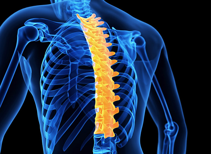 Πώς μεταβάλλεται η σπονδυλική στήλη λόγω άγχους;