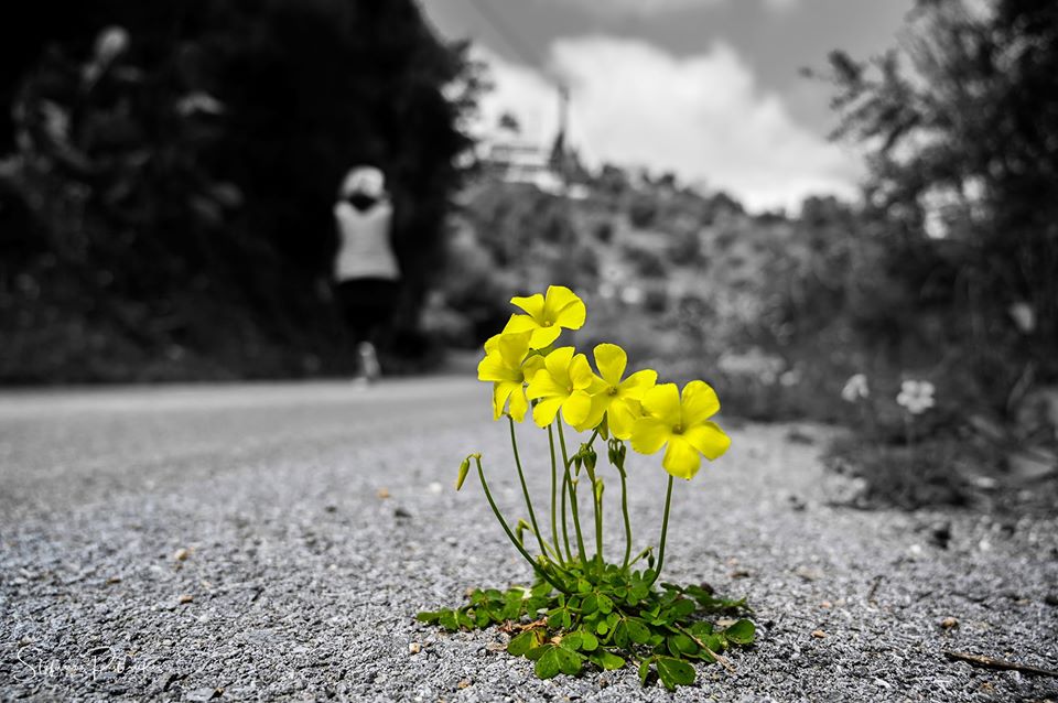 Το ψέμα είναι η εξαφάνιση της αγάπης…