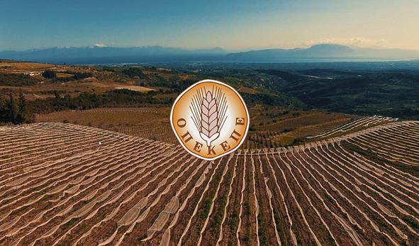 Βόμβα από τον ΟΠΕΚΕΠΕ: Αυτοί πρέπει να δώσουν πίσω χιλιάδες ευρώ