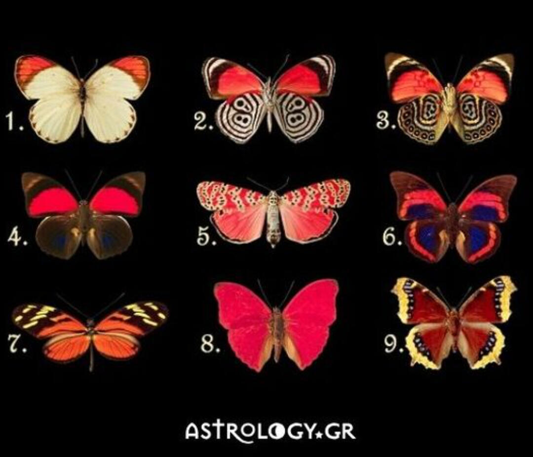 Κάθε μια από τις 9 πεταλούδες δείχνει μια κρυφή σου σκέψη ή συναίσθημα!