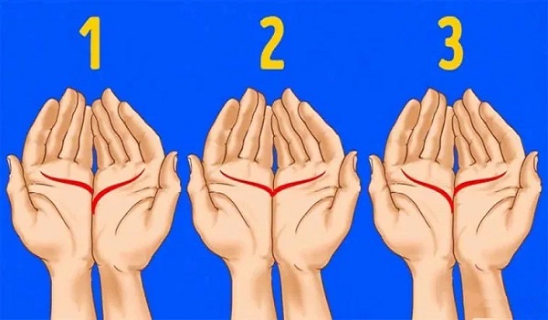 Ενώστε τα χέρια σας και δείτε τι λένε οι γραμμές που σχηματίζονται…