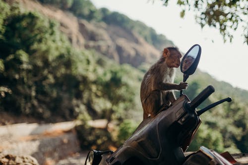Στη δημοσιότητα φωτογραφία του νοσοκομειακού υπαλλήλου που έδινε πιστοποιητικά μαϊμού